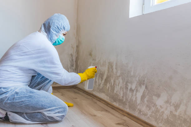 Licensed Commercial Mold Remediation service in Nashville, NC - Mold Remediation HQ