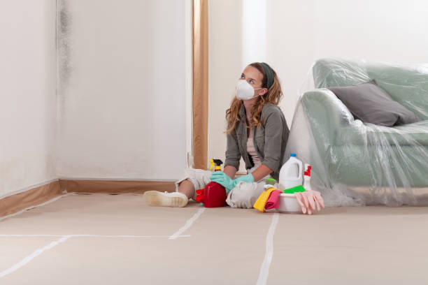 Reliable Commercial Mold Remediation contractor in Nashville, NC by Mold Remediation HQ